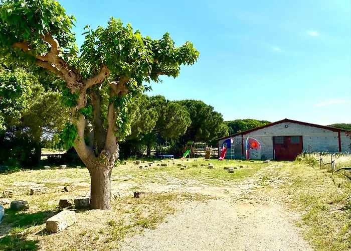 Du Mas - Amethyste 公寓 Saint-Laurent-dʼAigouze